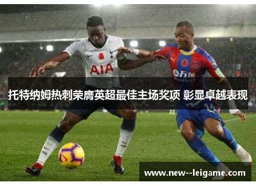 托特纳姆热刺荣膺英超最佳主场奖项 彰显卓越表现